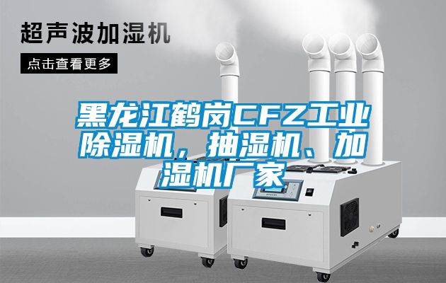 黑龙江鹤岗CFZ工业除湿机，抽湿机、加湿机厂家