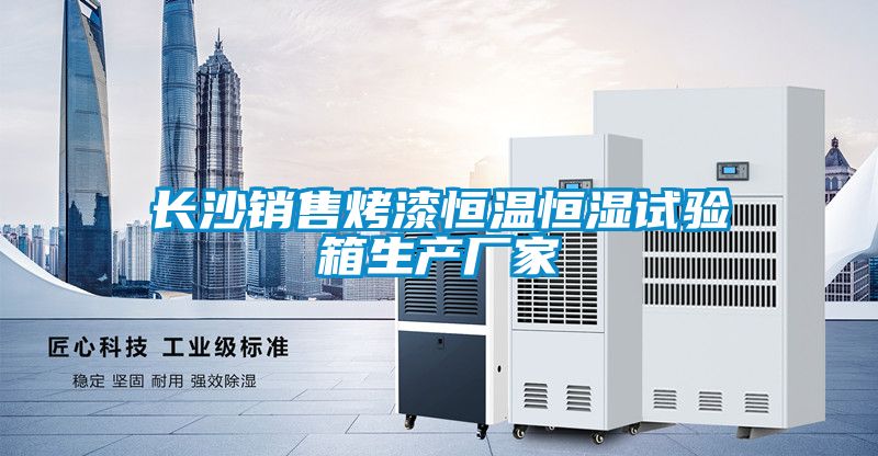 长沙销售烤漆恒温恒湿试验箱生产厂家