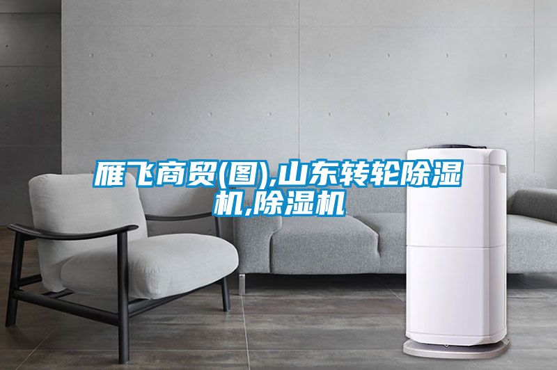 雁飞商贸(图),山东转轮除湿机,除湿机