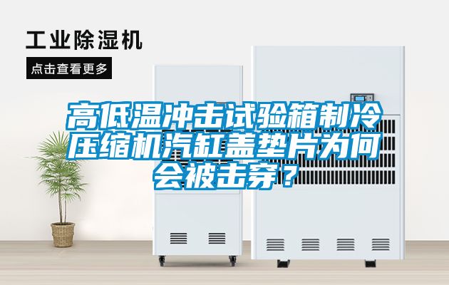 高低温冲击试验箱制冷压缩机汽缸盖垫片为何会被击穿？
