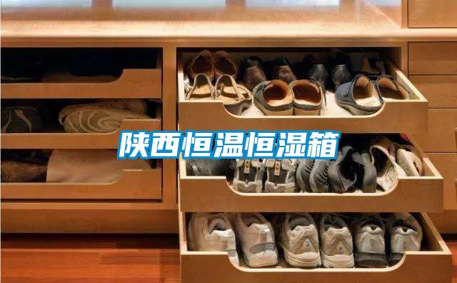 陕西恒温恒湿箱