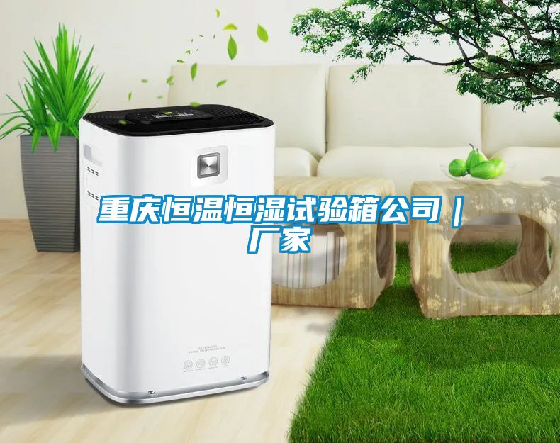 重庆恒温恒湿试验箱公司｜厂家
