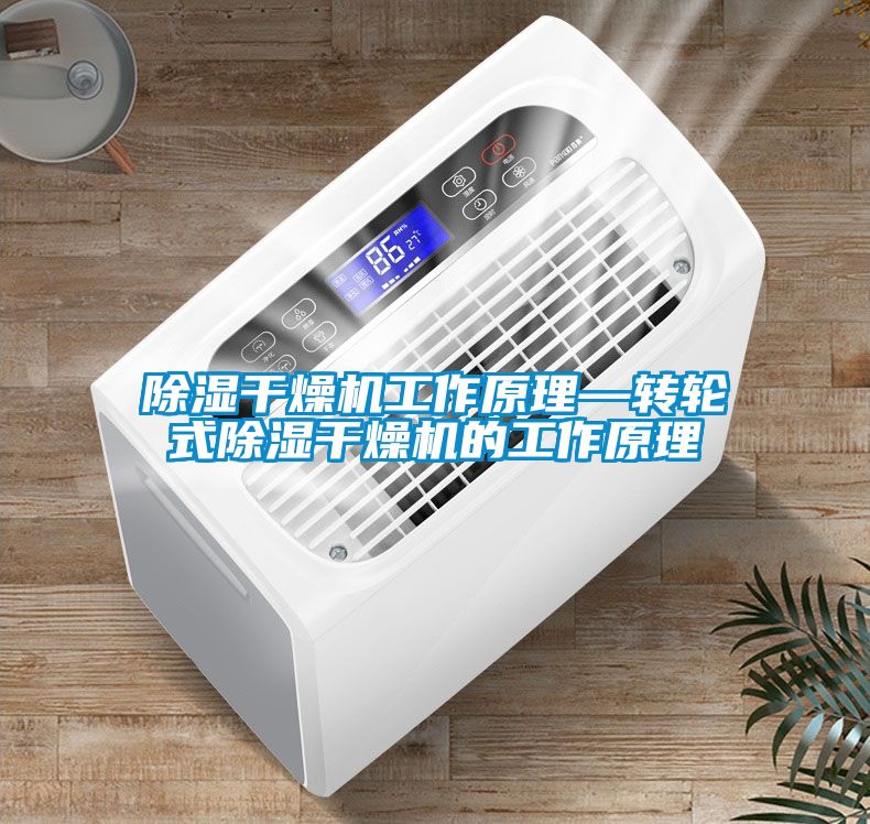 除湿干燥机工作原理—转轮式除湿干燥机的工作原理