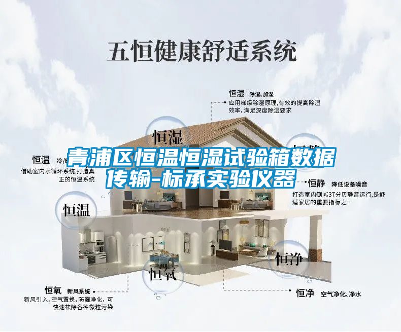 青浦区恒温恒湿试验箱数据传输-标承实验仪器