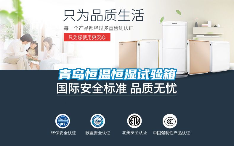 青岛恒温恒湿试验箱