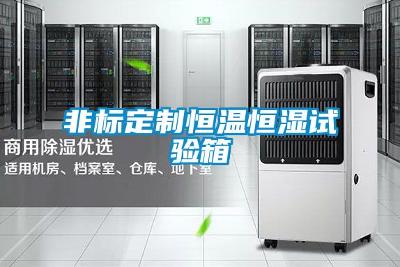 非标定制恒温恒湿试验箱