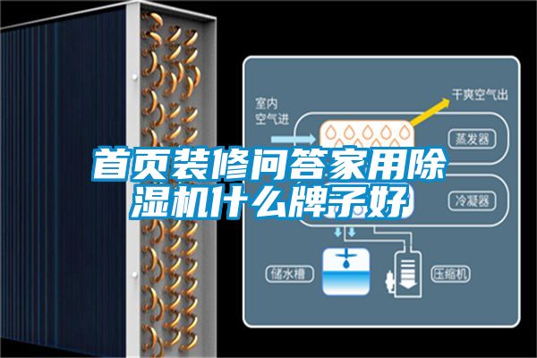 首页装修问答家用除湿机什么牌子好