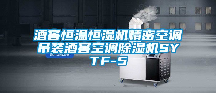 酒窖恒温恒湿机精密空调吊装酒窖空调除湿机SYTF-5