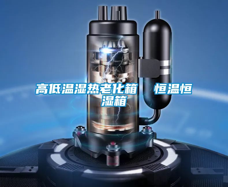 高低温湿热老化箱  恒温恒湿箱