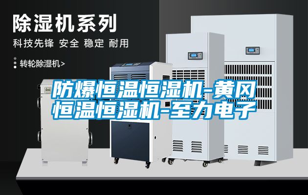 防爆恒温恒湿机-黄冈恒温恒湿机-至力电子