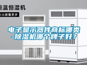 行业新闻电子显示器件商标哪类-除湿机哪个牌子好？