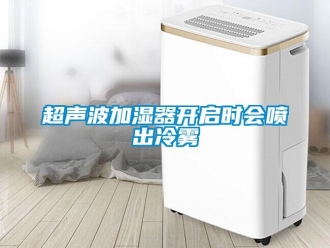 企业新闻超声波加湿器开启时会喷出冷雾