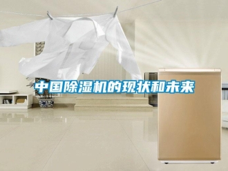知识百科中国除湿机的现状和未来