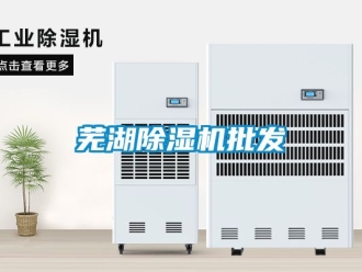 行业新闻芜湖除湿机批发