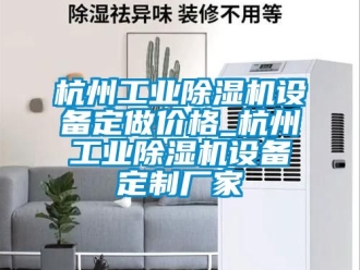 企业新闻杭州工业除湿机设备定做价格_杭州工业除湿机设备定制厂家