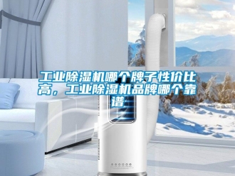 企业新闻工业除湿机哪个牌子性价比高，工业除湿机品牌哪个靠谱