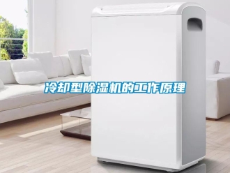 行业新闻冷却型除湿机的工作原理