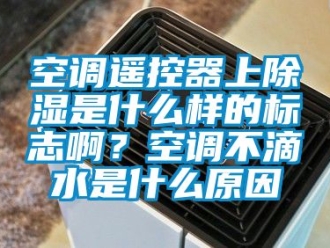 行业新闻空调遥控器上除湿是什么样的标志啊？空调不滴水是什么原因