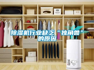 企业新闻除湿机行业缺乏“独角兽”的原因