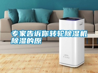 知识百科专家告诉你转轮除湿机除湿的原