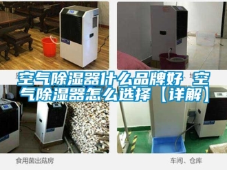 行业新闻空气除湿器什么品牌好 空气除湿器怎么选择【详解】