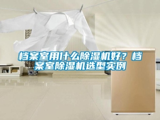 企业新闻档案室用什么除湿机好？档案室除湿机选型实例