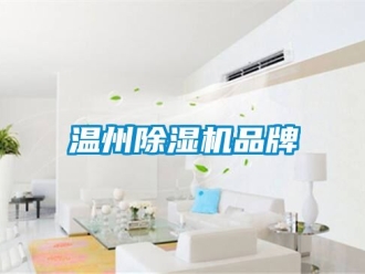 企业新闻温州除湿机品牌