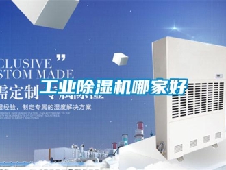 企业新闻工业除湿机哪家好