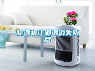 企业新闻除湿机让潮湿消失殆尽