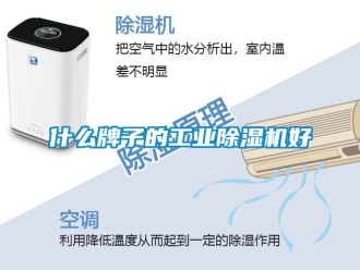 知识百科什么牌子的工业除湿机好