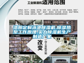 企业新闻洛阳定制泳池除湿机,除湿热泵工作原理,实力除湿机生产制造厂家