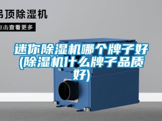 行业新闻迷你除湿机哪个牌子好(除湿机什么牌子品质好)