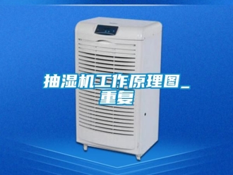 企业新闻抽湿机工作原理图_重复
