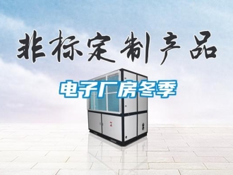 企业新闻电子厂房冬季