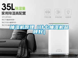 企业新闻抽湿机原理（什么抽湿机品牌好）