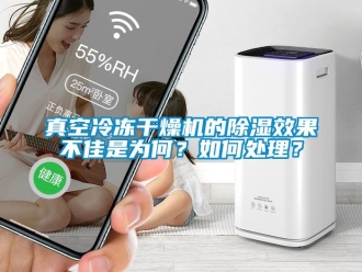 行业新闻真空冷冻干燥机的除湿效果不佳是为何？如何处理？