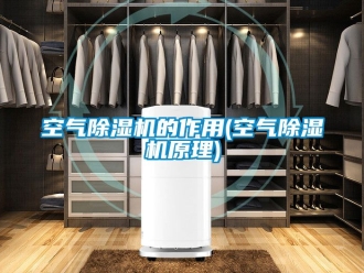 行业新闻空气除湿机的作用(空气除湿机原理)