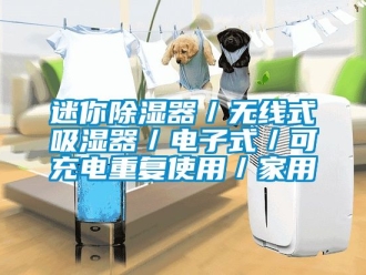 行业新闻迷你除湿器／无线式吸湿器／电子式／可充电重复使用／家用