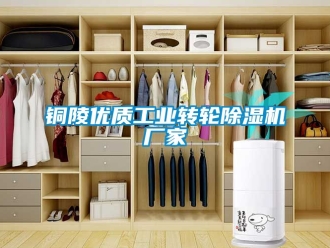 企业新闻铜陵优质工业转轮除湿机厂家