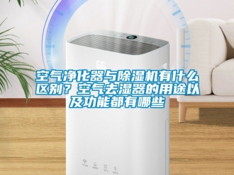 行业新闻空气净化器与除湿机有什么区别？空气去湿器的用途以及功能都有哪些