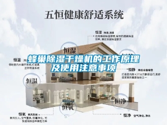 行业新闻蜂巢除湿干燥机的工作原理及使用注意事项