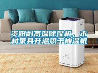 行业新闻贵阳耐高温除湿机，木材家具升温烘干抽湿机
