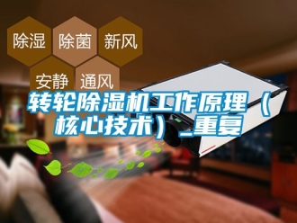 常见问题转轮除湿机工作原理（核心技术）_重复