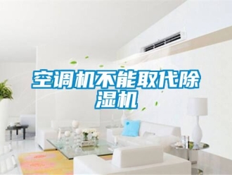 行业新闻空调机不能取代除湿机