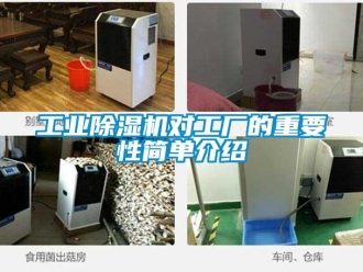 企业新闻工业除湿机对工厂的重要性简单介绍