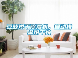 行业新闻豆豉烘干除湿机，自动排湿烘干快