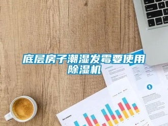企业新闻底层房子潮湿发霉要使用除湿机