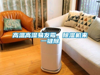 行业新闻高温高湿易发霉，除湿机来一键除