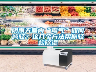 企业新闻阴雨天室内“霉气”如何减轻？这几个方法帮你轻松除湿