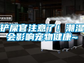 企业新闻铲屎官注意了！潮湿会影响宠物健康~